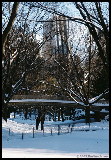 A bridge in Central Park, NYC