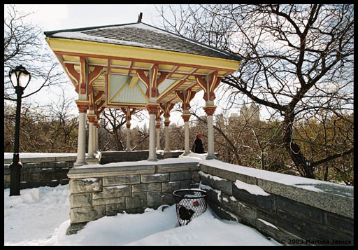 Lookout platform Central Park, NYC