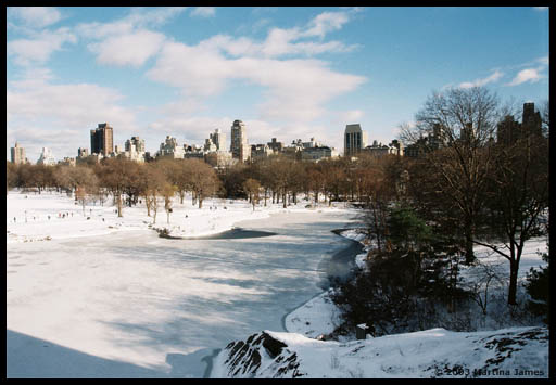 East side view from Central Park, NYC