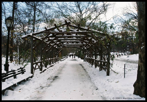 Walkway in Central Park, NYC