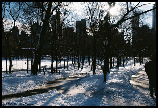 Walkway in Central Park, NYC
