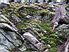 2004-04-15_Guinea-inspection_049_web.JPG