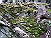 2004-04-15_Guinea-inspection_051_web.JPG