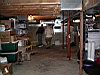 2004-04-15_Guinea-inspection_057_web.JPG