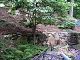 2004-06-01_25_Guinea-visit.jpg