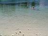 2004-10-09_Hawks-key_009w.jpg