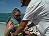2004-10-09_Hawks-key_012w.jpg