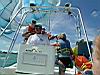 2004-10-09_Hawks-key_019w.jpg