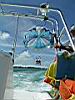 2004-10-09_Hawks-key_030w.jpg