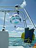 2004-10-09_Hawks-key_055w.jpg