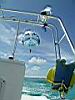2004-10-09_Hawks-key_056w.jpg