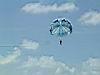 2004-10-09_Hawks-key_059w.jpg