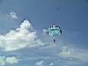 2004-10-09_Hawks-key_062w.jpg