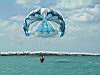 2004-10-09_Hawks-key_069w.jpg