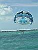2004-10-09_Hawks-key_072w.jpg