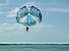 2004-10-09_Hawks-key_073w.jpg