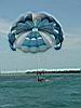 2004-10-09_Hawks-key_077w.jpg