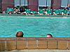 2004-10-09_Hawks-key_098w.jpg