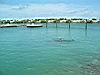 2004-10-10_Hawks-key_160w.jpg