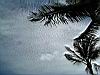2004-10-10_Hawks-key_162w.jpg