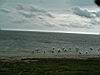 2004-10-11_Hawks-key_244w.jpg