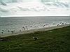 2004-10-11_Hawks-key_246w.jpg