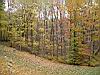 2004-10-30_autumn-colors_02.jpg