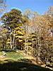 2004-10-31_autumn-colors_01.jpg