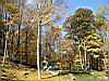 2004-10-31_autumn-colors_02.jpg