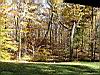 2004-10-31_autumn-colors_03.jpg