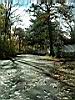 2004-10-31_autumn-colors_04.jpg