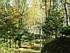 2004-10-31_autumn-colors_06.jpg