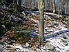 2004-11-13_first-snow_06.jpg