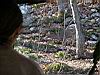 2004-11-26_Pauline-deer_24.jpg