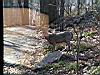 2004-11-26_deer_29.JPG
