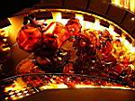2005-02-13_westerdam_067.jpg