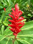 2005-02-16_jamaica_167.jpg