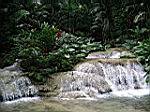 2005-02-16_jamaica_170.jpg