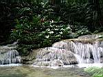 2005-02-16_jamaica_173.jpg