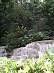 2005-02-16_jamaica_175.jpg