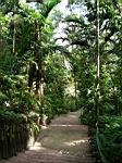 2005-02-16_jamaica_176.jpg