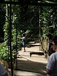 2005-02-16_jamaica_179.jpg
