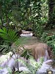 2005-02-16_jamaica_181.jpg