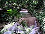 2005-02-16_jamaica_182.jpg