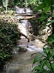2005-02-16_jamaica_191.jpg