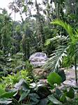 2005-02-16_jamaica_213.jpg