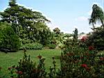 2005-02-16_jamaica_217.jpg