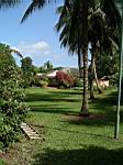2005-02-16_jamaica_218.jpg