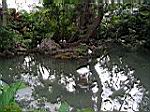 2005-02-16_jamaica_230.jpg