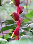 2005-02-16_jamaica_231.jpg